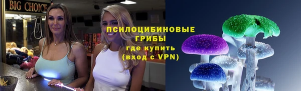 трава Арсеньев