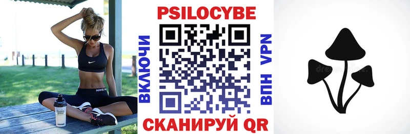Галлюциногенные грибы Psilocybine cubensis  Лесозаводск 